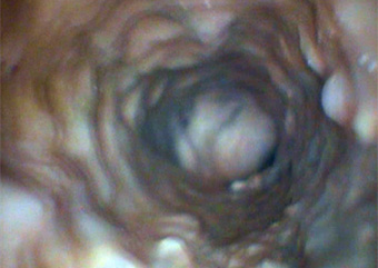 排水管洗浄・高圧水ジェット洗浄